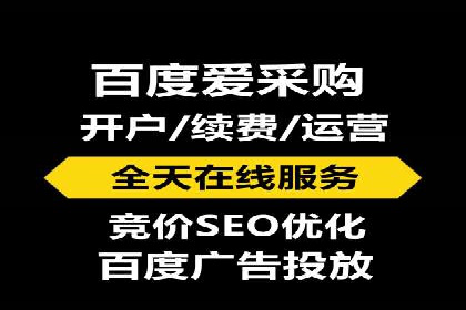 竞价广告投放技巧与案例分析
